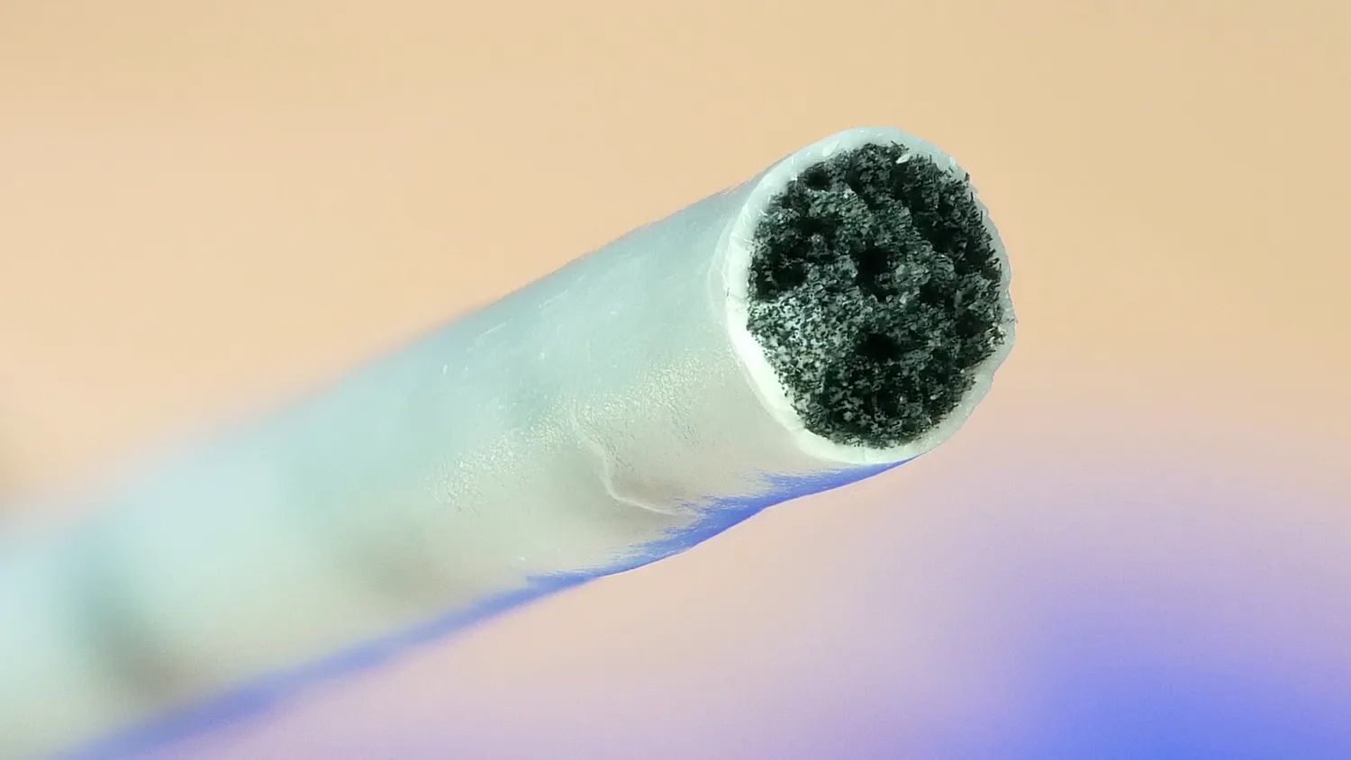 Macro Shot of the Co-Extrusion Filament
