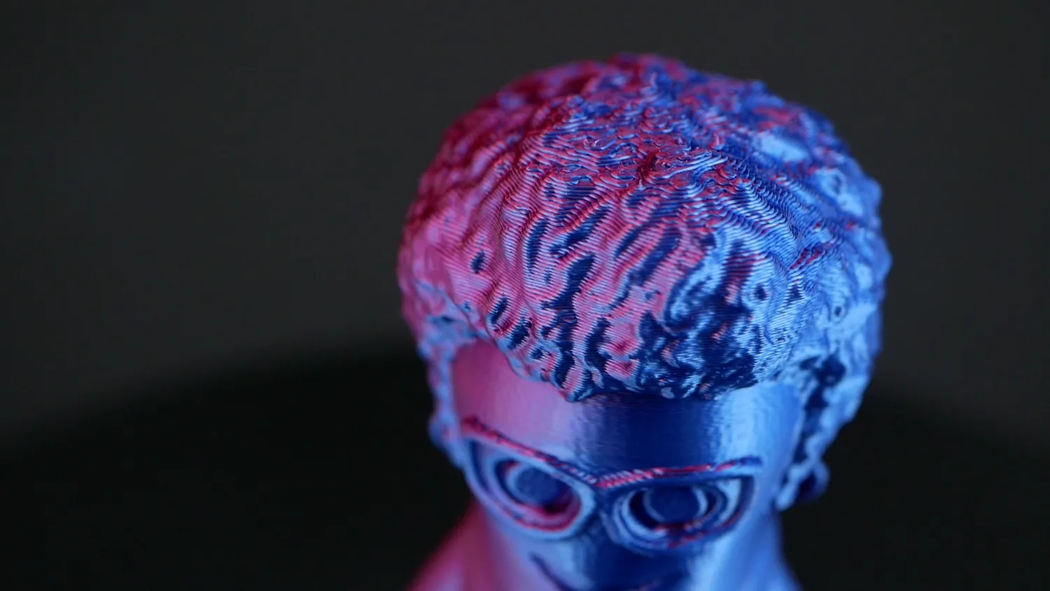 Marvin bust in blue and pink, the transition running diagonally across the textured hair