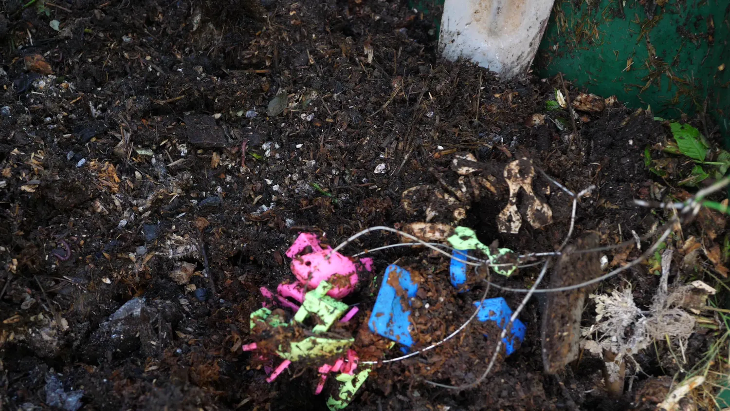 Samples in the compost