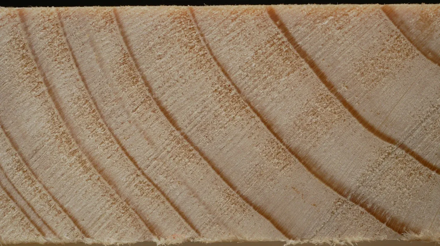 Spruce Wood